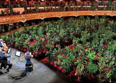 متفاوت ترین تماشاگران یک برنامه موسیقی ، اپرا برای گل و گیاه در زمانه کرونا